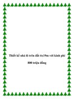 Tài liệu Thiết kế nhà lô trên đất 6x19m với kinh phí 800 triệu đồng pdf