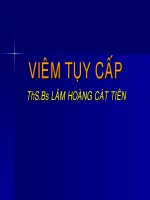 Viem tuy cap