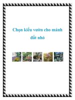 Tài liệu Chọn kiểu vườn cho mảnh đất nhỏ ppt