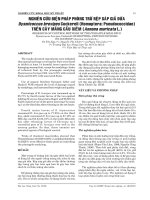 Tài liệu NGHIÊN CỨU BIỆN PHÁP PHÒNG TRỪ RỆP SÁP GIẢ DỨA Dysmicoccus brevipes Cockerell (Homoptera: Pseudococcidae) TRÊN CÂY MÃNG CẦU XIÊM (Annona muricata L.) pptx