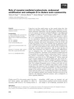 Tài liệu Báo cáo khoa học: Role of receptor-mediated endocytosis, endosomal acidiﬁcation and cathepsin D in cholera toxin cytotoxicity pdf