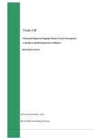 Tài liệu Trade-Off Financial System Supply-Chain Cross-Contagion: a study in global systemic collapse. docx