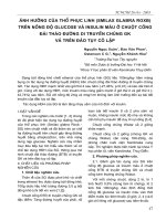 Tài liệu Ảnh hưởng của Thổ Phục Linh (Smilax Glabra Roxb trên nồng độ Glucose và Insulin máu ở chuột cống đái tháo đường di chủng GK và trên đảo tụy cô lập docx