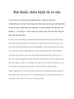 Tài liệu Bài thuốc chữa bệnh từ cỏ sữa doc