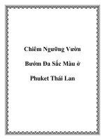 Tài liệu Chiêm Ngưỡng Vườn Bướm Đa Sắc Màu ở Phuket Thái Lan pdf