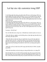 Tài liệu Lợi hại của việc customize trong ERP pptx