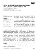Tài liệu Báo cáo khoa học: Human Cdc45 is a proliferation-associated antigen pdf