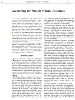Tài liệu ACCOUNTING FOR SUBSOIL MINERAL RESOURCES pdf