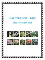 Tài liệu Hoa trong vườn nàng Noa-set xinh đẹp docx
