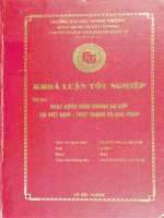 hoạt động kinh doanh đa cấp tại việt nam thực trạng và giải pháp