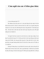 Tài liệu Cảm nghĩ của em về đêm giao thừa pot