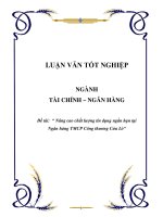 Nâng cao chất lượng tín dụng ngắn hạn tại Ngân hàng TMCP Công thương Cửa Lò