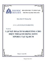 Lập kế hoạch marketing cho điện thoại di động Sony Xperia tại Tp. Hồ Chí Minh