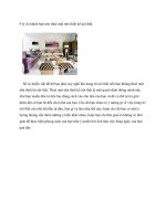 Tài liệu 9 lý do khiến bạn nên thuê một nhà thiết kế nội thất. pot