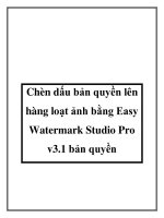 Tài liệu Chèn dấu bản quyền lên hàng loạt ảnh bằng Easy Watermark Studio Pro v3.1 bản quyền ppt