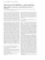Tài liệu Báo cáo Y học: Solution structure of the mEGF/TGFa44250 chimeric growth factor doc