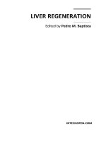 Tài liệu Liver Regeneration Edited by Pedro M. Baptista pdf