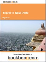 Tài liệu Travel to New Delhi pptx