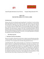 Tài liệu Báo cáo: Thị trường khoai tây 4/2008 pdf