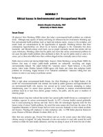Tài liệu Ethical Issues in Environmental and Occupational Health pptx