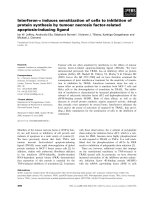 Tài liệu Báo cáo khoa học: Interferon-a induces sensitization of cells to inhibition of protein synthesis by tumour necrosis factor-related apoptosis-inducing ligand ppt