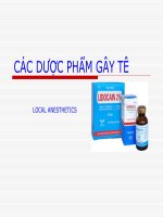 Tài liệu Dược phẩm gây tê potx