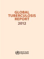 Tài liệu GLOBAL TUBERCULOSIS REPORT 2012 docx
