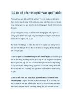 Tài liệu Lý do để đến với nghề “cao quý” nhất ppt