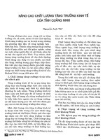 Tài liệu Báo cáo 