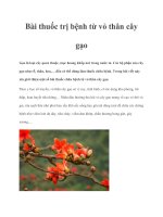 Tài liệu Bài thuốc trị bệnh từ vỏ thân cây gạo doc