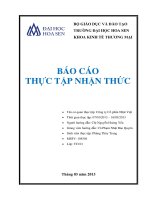 báo cáo thực tập nhận thức công ty cổ phần nhật việt