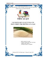 vận dụng quy luật cung cầu phát triển thị trường lúa gạo