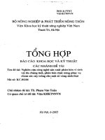 Tài liệu Nghiên cứu công nghệ sản xuất phân bón vi sinh vật đa chủng mới, phân bón chức năng phục vụ chăm sóc cây trồng cho một số vùng sinh thái ppt