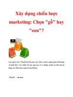 Tài liệu Xây dựng chiến lược marketing: Chọn 
