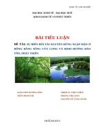 SỰ BIẾN đổi tài NGUYÊN RỪNG NGẬP mặn ở ĐỒNG BẰNG SÔNG cửu LONG và ĐỊNH HƯỚNG bảo tồn, PHÁT TRIỂN
