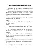 Tài liệu Cách nuôi cá chẽm nước mặn doc