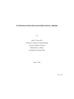 Tài liệu WATER POLLUTION-CHICAGO INTERNATIONAL AIRPORT by Paula F. Cowan, M.D. pdf
