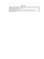 phân đoạn thị trường đề ra các phương án sản xuất kinh doanh