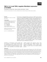 Tài liệu Báo cáo khoa học: FGF-2, IL-1b and TGF-b regulate ﬁbroblast expression of S100A8 doc