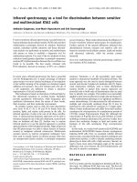 Tài liệu Báo cáo khoa học: Infrared spectroscopy as a tool for discrimination between sensitive and multiresistant K562 cells doc