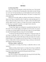 Quản lý và sử dụng vốn tại công ty cổ phần đầu tư đèo cả thực trạng và giải pháp