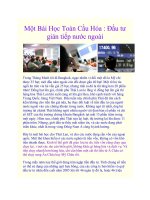 Tài liệu Một Bài Học Toàn Cầu Hóa : Đầu tư gián tiếp nước ngoài ppt