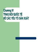 Tài liệu TRAO ĐỔI QUỐC TẾ VỀ CÁC YẾU TỐ SẢN XUẤT pot