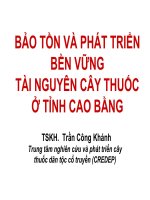 Tài liệu BẢO TỒN VÀ PHÁT TRIỂN BỀN VỮNG TÀI NGUYÊN CÂY THUỐC Ở TỈNH CAO BẰNG pptx