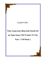 Thực trạng hoạt động kinh doanh thẻ tại Ngân hàng TMCP Quốc Tế Việt Nam ( VIB Bank )