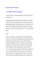 Tài liệu Sửa chữa đồ tạo tác bằng giấy pptx