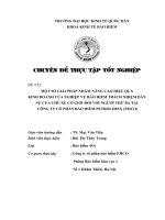 một số giải pháp nhằm nâng cao hiệu quả kinh doanh của nghiệp vụ bảo hiểm trách nhiệm dân sự của chủ xe cơ giới đối với người thứ ba tại công ty cổ phần bảo hiểm petrolimex(pjico)”.