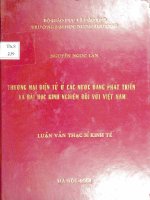 thương mại điện tử ở các nước đang phát triển và bài học kinh nghiệm đối với việt nam