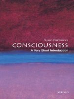 Consciousness: A Very Short Introduction