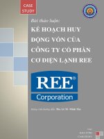 KẾ HOẠCH HUY ĐỘNG vốn của CÔNG TY cổ PHẦN